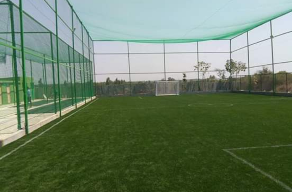 Sports Nets 6